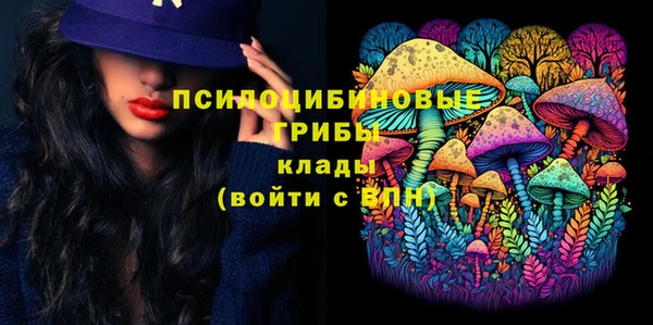spice Зеленодольск