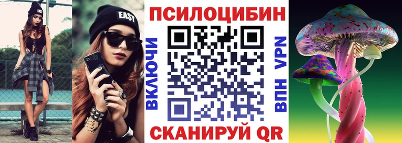 Купить  Закаменск  Галлюциногенные грибы Magic Shrooms 